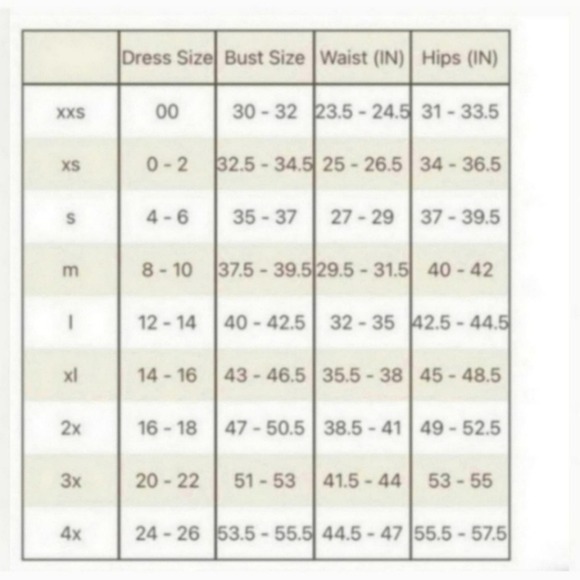 SKIMS FITS EVERYBODY ADAPTIVE BODYSUIT Top Clay Size XS - Picture 4 of 4